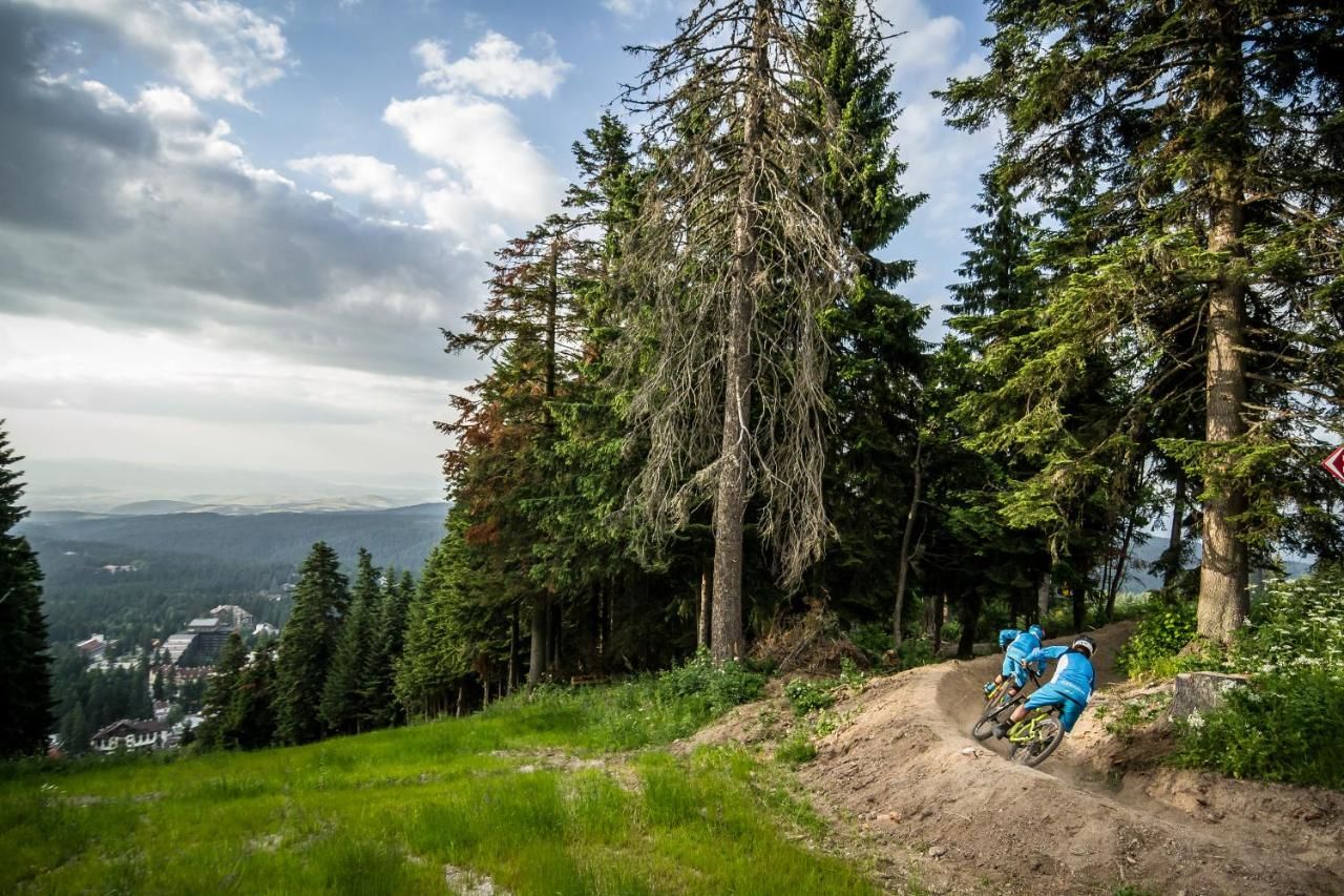 Отель Rila Hotel Borovets Боровец-40
